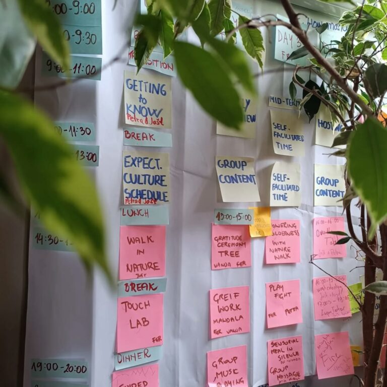 Let’s Celebrate! A Week of Conscious Closure and the Art of Hosting in Slovenia