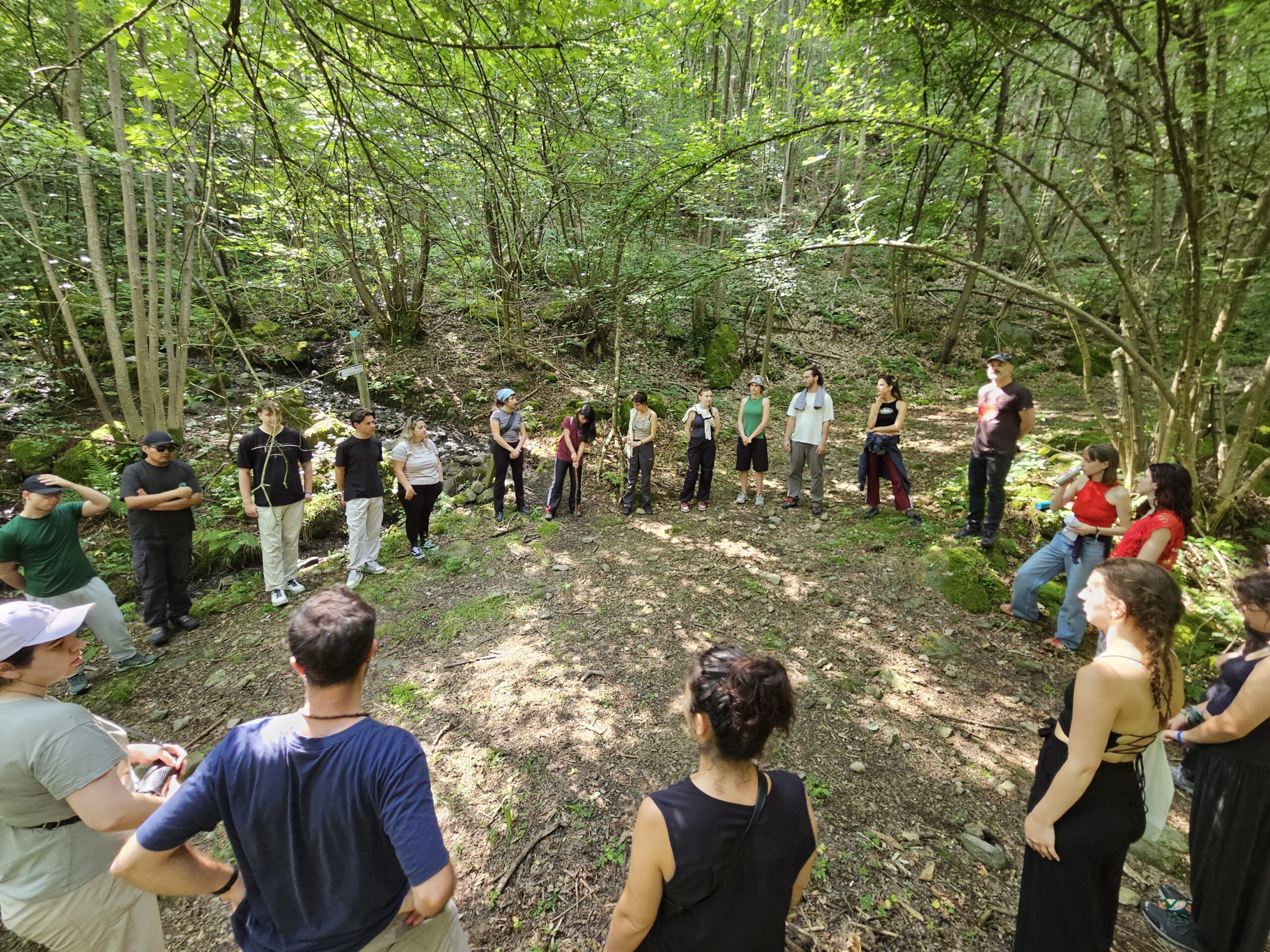 Young people gathered in a circle in a lush forest during a group activity in Valchiusella, Italy.